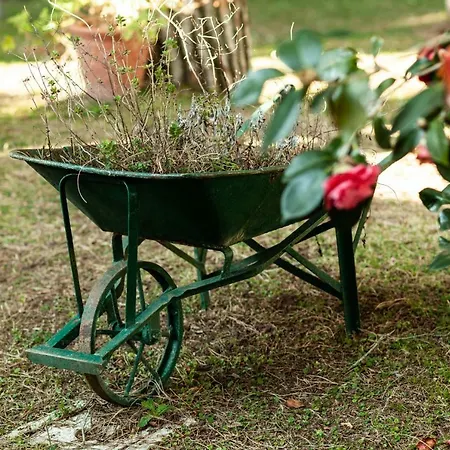 Il Parco Bracciano (Rome)